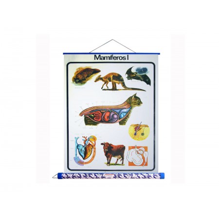MAPA MAMIFEROS I PAINEL E TUBO
