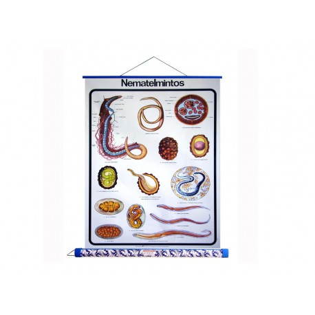 MAPA NEMATELMINTOS PAINEL E TUBO