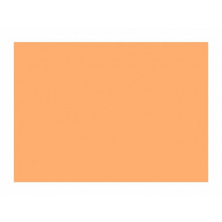 PAPEL CAMURCA SALMAO 40X60 C/25