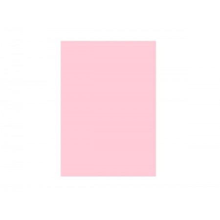 PAPEL COLOR SET ROSA CLARO...