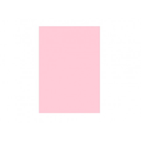 PAPEL COLOR SET ROSA CLARO C/20F.