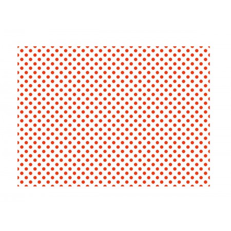 PAPEL CARTAO DECORADO 50X65...