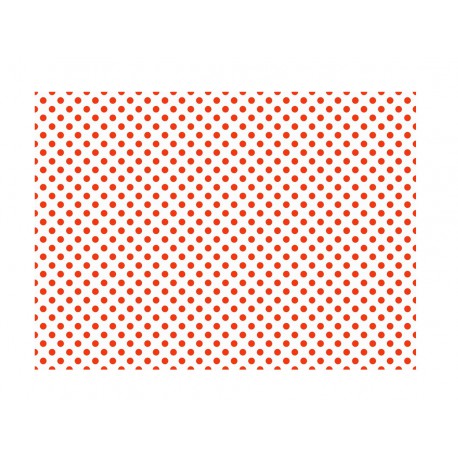 PAPEL CARTAO DECORADO 50X65 C/20F.