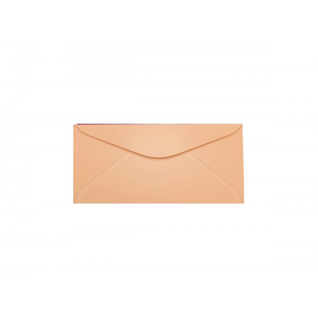 ENVELOPE 114X229 SALMAO...