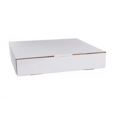 CAIXA SALGADO PAPELAO...