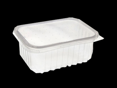 POTE DESC. 250ML.TR.RET.C/TAMPA PP.C/24