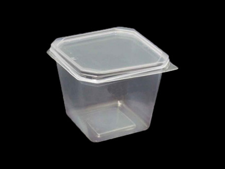 POTE DESC. 250ML.TR.QUAD.C/TPA.C/20