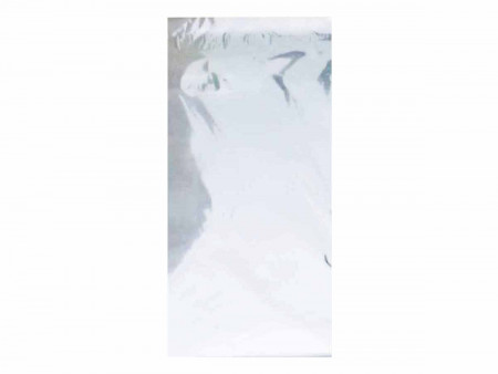 ENVELOPE 15X30 PRATA...