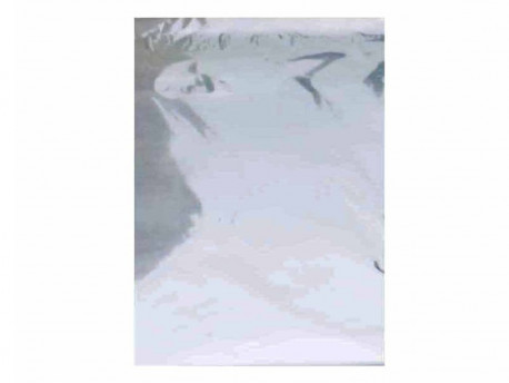 ENVELOPE 20X29 PRATA METALIZADO C/50