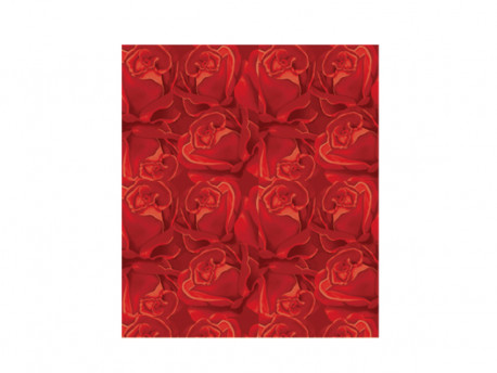 ENVELOPE 60X90 ROSAS\VERMELHA N.12 C/50