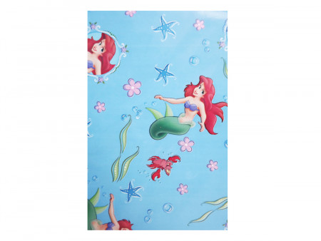 ENVELOPE 15X22 PEQUENA...