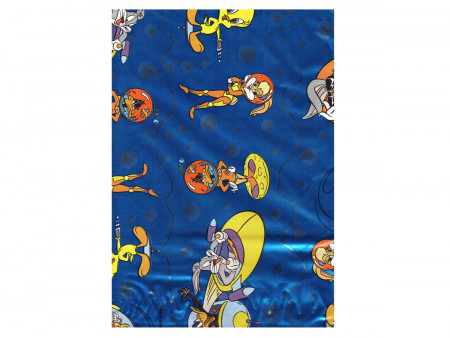 ENVELOPE 15X21+ABA LOONEY...