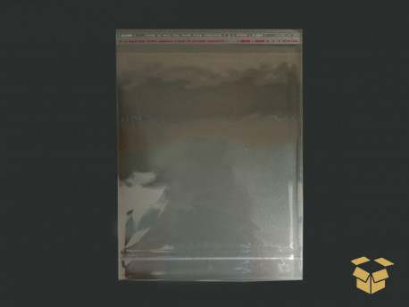 SACO ADESIV.18X25X05 PP+3CM ABA+BL.C/100