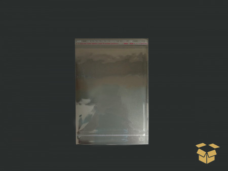 SACO ADESIV.06X25X05 PP+3CM...