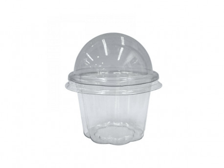 EMB.100X80MM RED.240ML.TR.TPA BOLHA C/20