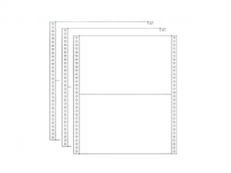 FORMULARIO RAZAO 80C.2V.BR.CARB.C/3000J