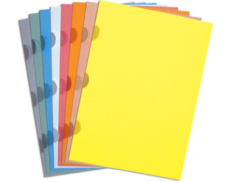 PASTA CONTRATO VX.CORES DELLOMAX