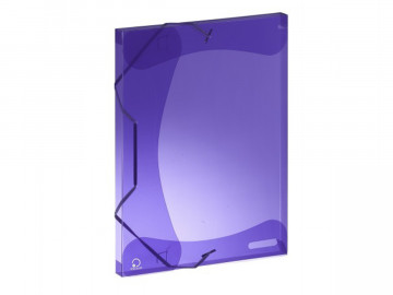 PASTA ABA ELASTICO PP ROXO...