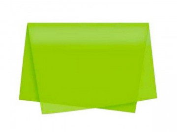 PAPEL SEDA VERDE CLARO C/100