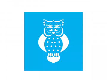 STENCIL CORUJA 15X15CM - QD301