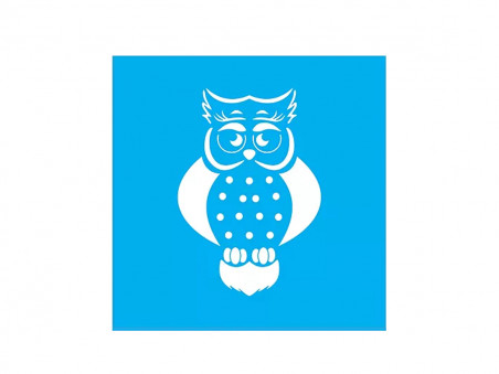 STENCIL CORUJA 15X15CM - QD301