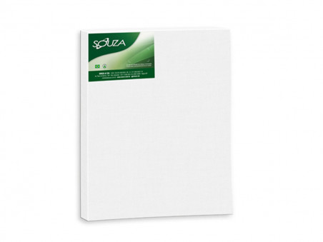 TELA PINTURA  40X 50 ALGODAO-8113