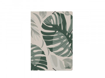 PASTA ABA ELASTICO...