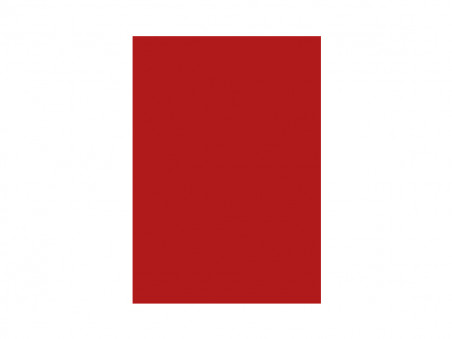 PAPEL A4 COLOR VERMELHO 120G. C50