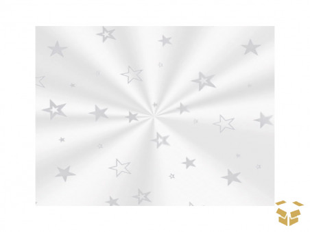 ENVELOPE TR.25X37 ESTRELA PRATA C/50