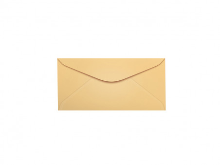 ENVELOPE 072X108 VISITA SALMAO MADR.C100