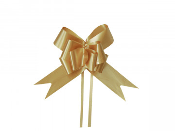 LACO PRONTO 24X470MM CETIM...