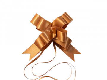 LACO PRONTO 24X470MM CETIM...