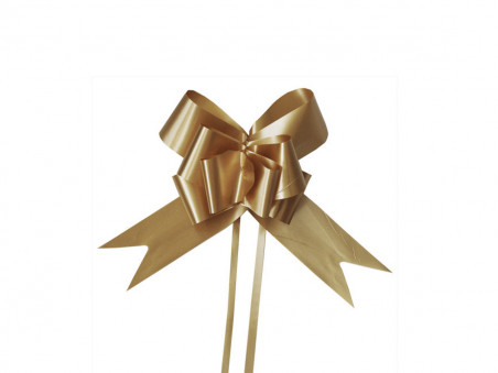 LACO PRONTO 24X470MM CETIM CHAMPAGNE /5