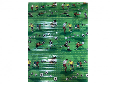 PLASTICO ENCAPAR VX.ESTAMPADO 50MMX2MTSX