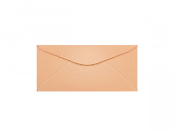 ENVELOPE 160X235 SALMAO...