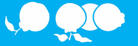 STENCIL FRUTAS PONKAN 10X30CM ST1875