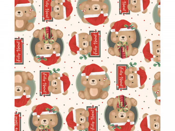 ENVELOPE 50X70 BEAR NOEL C/25