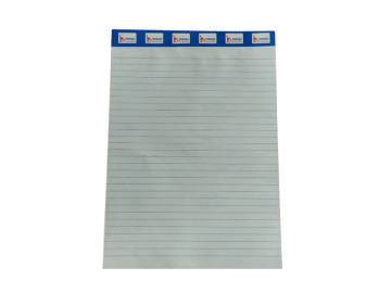 BLOCO PAUTADO 21X29 TAMOIO...