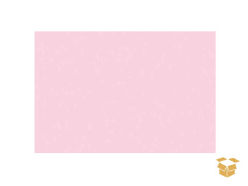 BORRACHA EVA LISO ROSA BB C/10