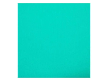 BORRACHA EVA LISO VD.AGUA...