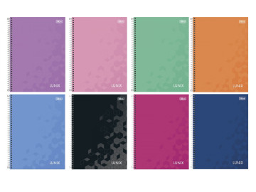 CADERNO UNIV.320F.20M.LUNIX...