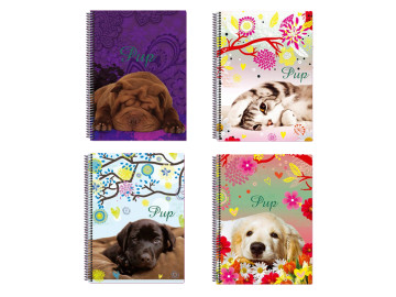 CADERNO UNIV. 96F.1M.PUP CD