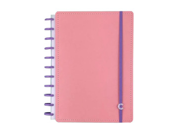 CADERNO INTELIG.120F.ROSE G...