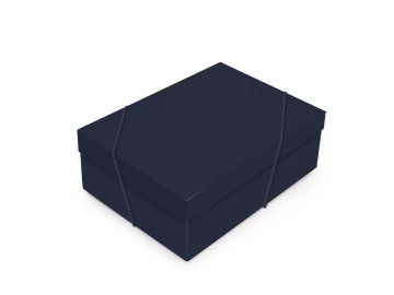 CX.24X18X8 TWILIGHT BLUE P-AV