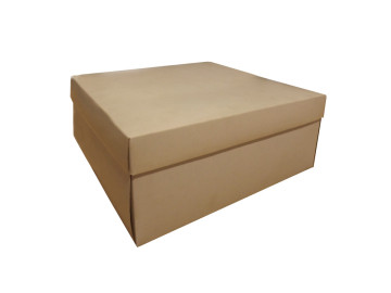 CX.19,5X19,5X7,5 KRAFT-AV.