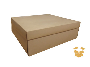 CX.23,5X29,5X6,0 KRAFT C/5