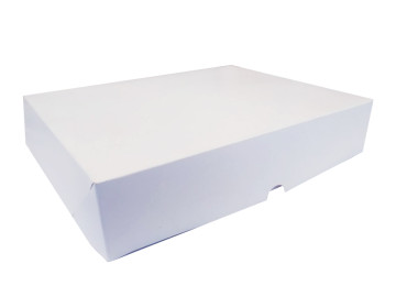 CX.23,5X29,0X6,0 BRANCA -...