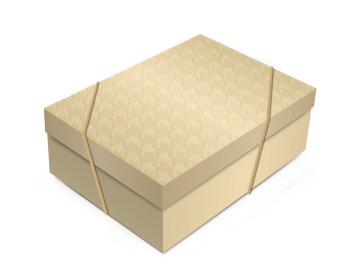 CX.35,0X25,0X11 TWEED OURO...