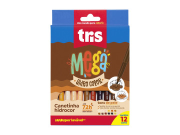 CANETA HIDR.12 CORES TONS...