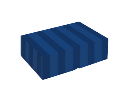 CX.30X20X12 REALCE POLO AZUL-AV.